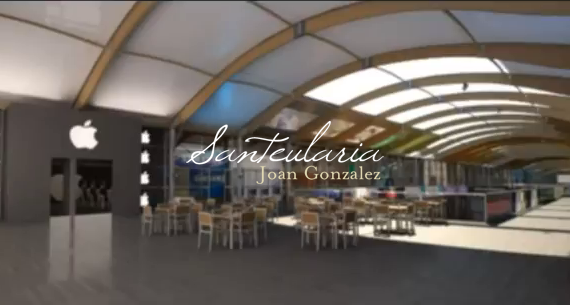 Video demonstration of part of the work done