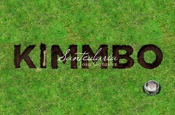 Creating informational website about the Rhodesian Ridgeback dog breed