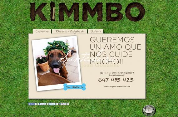 Creating informational website about the Rhodesian Ridgeback dog breed