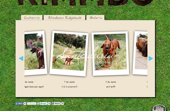 Creación de sitio web informativo sobre la raza de perro Rhodesiana Ridgeback