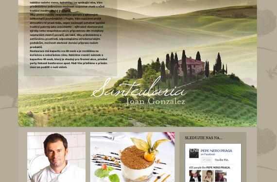 Create website for small franchise of restaurants in Prague
